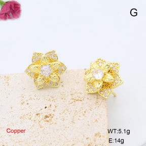 F6E405754bbov-L017  Fashion Copper Earrings