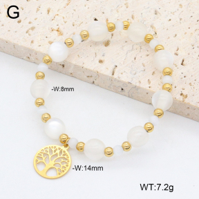 2B4005257vbpb-350  Stainless Steel Bracelet