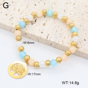 2B4005267abol-350  Stainless Steel Bracelet