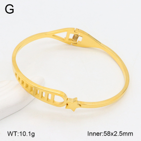 2BA202278vbnb-749  Stainless Steel Bangle