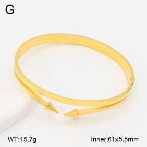 2BA202282bbov-749  Stainless Steel Bangle