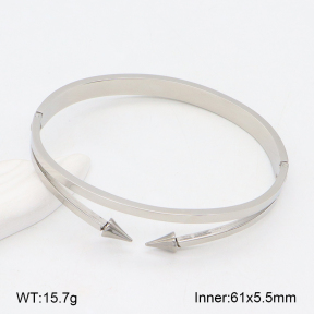 2BA202283vbnb-749  Stainless Steel Bangle