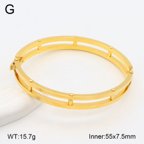 2BA202284bhia-749  Stainless Steel Bangle