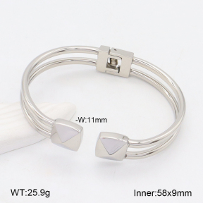 2BA202288bbov-749  Stainless Steel Bangle