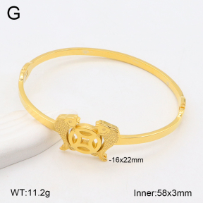 2BA202289vbnb-749  Stainless Steel Bangle