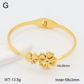 2BA202291vbnb-749  Stainless Steel Bangle