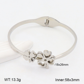 2BA202292vbmb-749  Stainless Steel Bangle