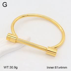 2BA202293bbov-749  Stainless Steel Bangle