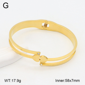 2BA402396vbnb-749  Stainless Steel Bangle