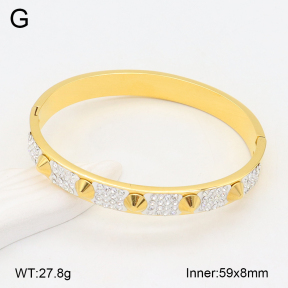 2BA402398vbpb-749  Stainless Steel Bangle