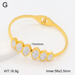 2BA402400vbnb-749  Stainless Steel Bangle