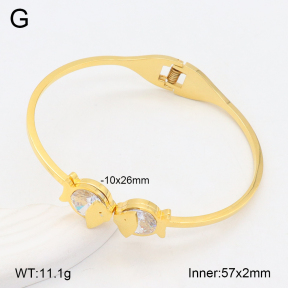 2BA402402vbnb-749  Stainless Steel Bangle