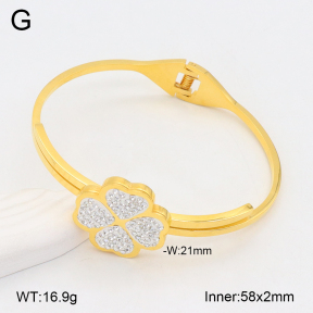 2BA402403vbnb-749  Stainless Steel Bangle