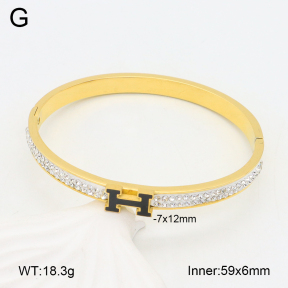 2BA402406bbov-478  Stainless Steel Bangle