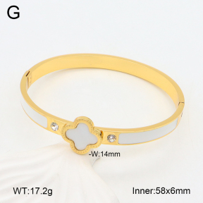 2BA402410vbnb-478  Stainless Steel Bangle