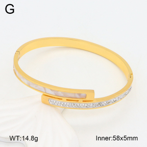2BA402411bbov-478  Stainless Steel Bangle