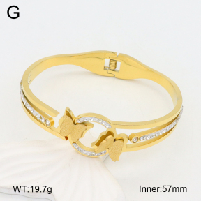 2BA402413bbov-478  Stainless Steel Bangle