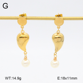 2E3003763aako-698  Stainless Steel Earrings