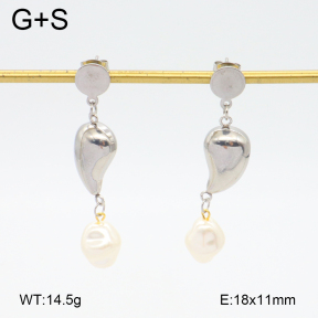 2E3003765aakj-698  Stainless Steel Earrings