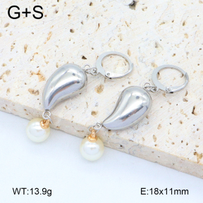 2E3003766aakj-698  Stainless Steel Earrings