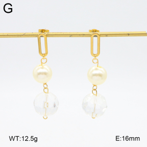 2E3003783aakl-698  Stainless Steel Earrings