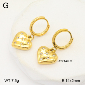 2E4004572abol-749  Stainless Steel Earrings