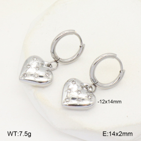 2E4004573vbnb-749  Stainless Steel Earrings