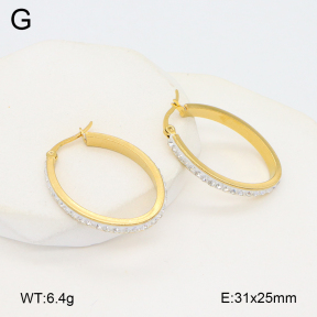 2E4004574vaia-478  Stainless Steel Earrings