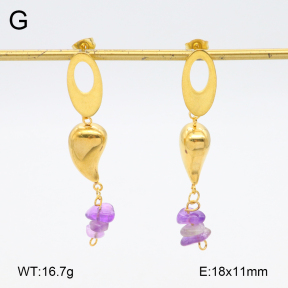 2E4004575aakl-698  Stainless Steel Earrings