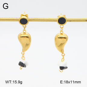 2E4004576aakl-698  Stainless Steel Earrings