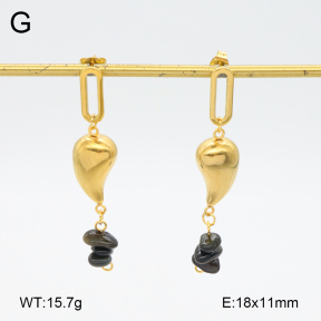 2E4004577aakl-698  Stainless Steel Earrings