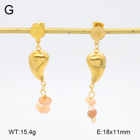 2E4004578aakl-698  Stainless Steel Earrings