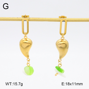 2E4004579aakl-698  Stainless Steel Earrings