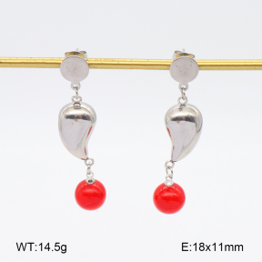 2E4004580aaki-698  Stainless Steel Earrings