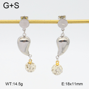 2E4004581aaki-698  Stainless Steel Earrings