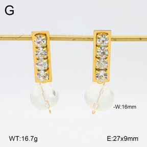 2E4004582baka-698  Stainless Steel Earrings