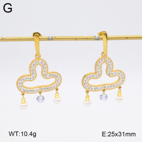 2E4004584baka-698  Stainless Steel Earrings