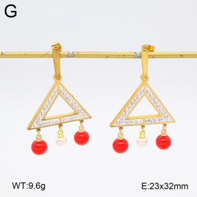 2E4004585baka-698  Stainless Steel Earrings