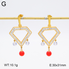 2E4004586baka-698  Stainless Steel Earrings