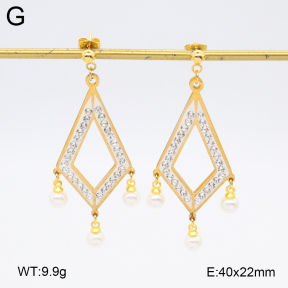 2E4004587baka-698  Stainless Steel Earrings
