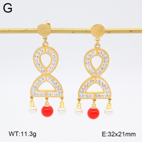 2E4004588baka-698  Stainless Steel Earrings