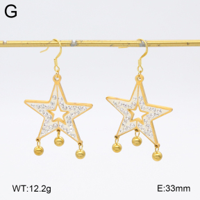2E4004589baka-698  Stainless Steel Earrings