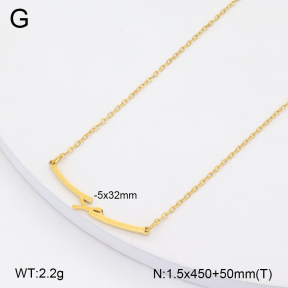 2N2007167baka-749  Stainless Steel Necklace