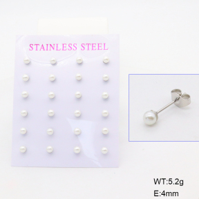 6E3002795bhva-900  Stainless Steel Earrings