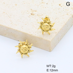 6E2007400bbpk-766  316 Pin 18K PVD,Handmade Polished  Stainless Steel Earrings