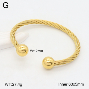 2BA202297vbnl-387  Stainless Steel Bangle