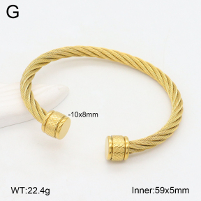 2BA202298vbnb-387  Stainless Steel Bangle