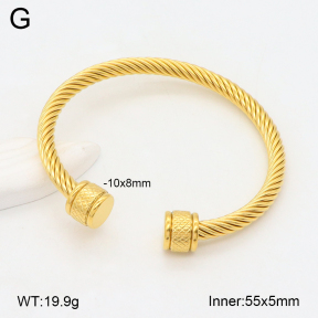 2BA202299vbnl-387  Stainless Steel Bangle