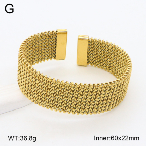 2BA202300ahjb-387  Stainless Steel Bangle