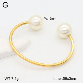 2BA300527bbml-387  Stainless Steel Bangle